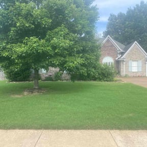 yard care by Raincrow Landscape and Mowing reviewed on August 17, 2025