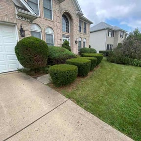 Bush Trimming by A&amp;S Landscaping and Snow Removal reviewed on August 4, 2026