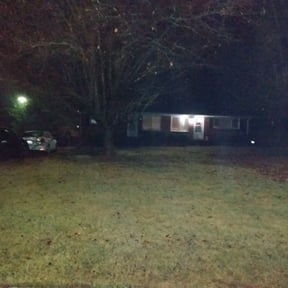 Leaf Removal by Lawnpros reviewed on August 4, 2024