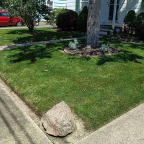 grass cutting by JJ&D Property Management reviewed on April 19, 2024