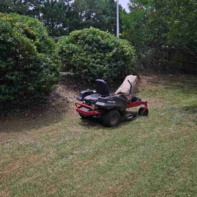 Bush Trimming by B&amp;J Lawn and Homecare reviewed on June 19, 2026