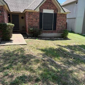 Bush Trimming by Clark contracting reviewed on November 10, 2025