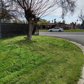 grass cutting by S&amp;W Services reviewed on May 7, 2024