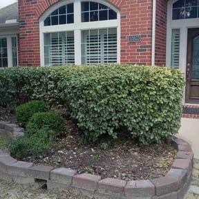Bush Trimming by Jaseion's Lawn Care reviewed on August 21, 2025