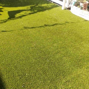 Leaf Removal by C &amp; G&#039;s earthworks design reviewed on September 7, 2025