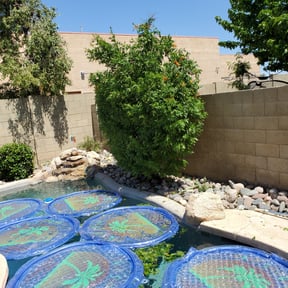 Bush Trimming by Helping Hands reviewed on November 23, 2025