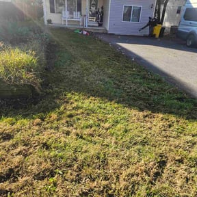 Leaf Removal by BBA BIG BROTHERS IN ACTION LLC reviewed on August 16, 2025