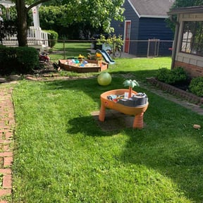 yard work by AD’s Outdoor Solutions reviewed on October 24, 2025