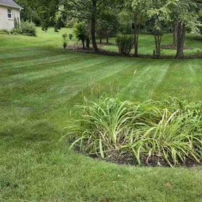 residential landscaping by Virgil lawn service reviewed on August 15, 2025