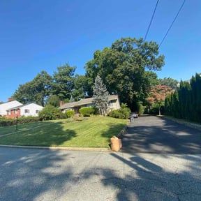 yard care by Felo Pride lawn services reviewed on May 1, 2024