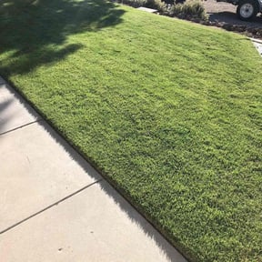 yard maintenance by Andrew White reviewed on November 23, 2025