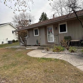 Leaf Removal by Let Us Do It For You reviewed on November 22, 2025