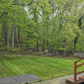 landscaping services by LAWN CARE AND DELIVERY SERVICES LLC reviewed on December 3, 2025