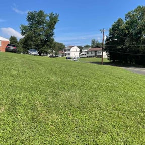 Lawn Mowing by  reviewed on August 31, 2023