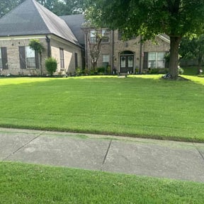yard work by The Bilingual Landscape Artist reviewed on August 16, 2025