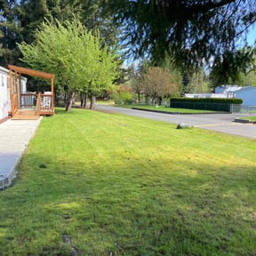 residential landscaping by Dj Fresh cuts reviewed on August 17, 2025