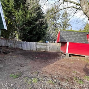 Leaf Removal by FRAMPTON'S LAWN SERVICE reviewed on September 19, 2025