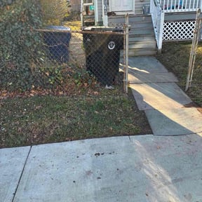 Mulching by Anton Lawn Care reviewed on December 19, 2025