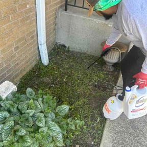 Flower Bed Weeding by zen gardens by Trevor reviewed on May 29, 2026