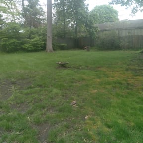 Leaf Removal by 804 Lawn Pros LLC reviewed on November 9, 2017