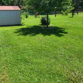 yard service by CB Lawncare &amp; Services reviewed on November 21, 2025