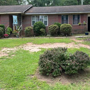 Bush Trimming by Crigler Lawncare reviewed on August 17, 2025