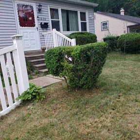 Bush Trimming by Fortanel lanscaping reviewed on August 20, 2025