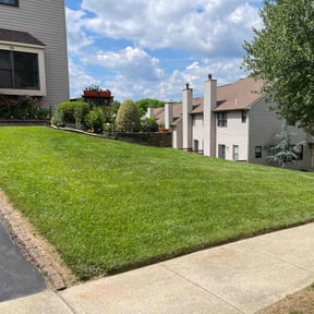 landscape maintenance by C Holzinger Construction reviewed on August 19, 2025