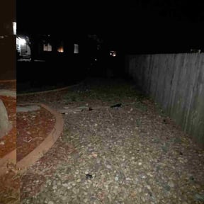 Leaf Removal by Alex Grass reviewed on November 24, 2025