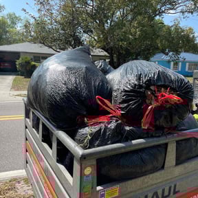 Leaf Removal by Hedge Hoggard Landscaping reviewed on September 20, 2025