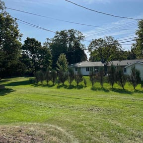 landscape maintenance by A&amp;M reviewed on November 24, 2025