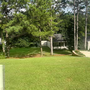 gardening service by ON SITE LAWN SERVICE LLC. reviewed on August 20, 2025