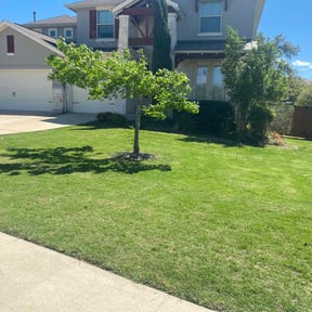 landscaping by Fiechtner Landscape Services reviewed on August 16, 2025