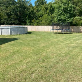 gardening service by Marvin Wright reviewed on August 19, 2025