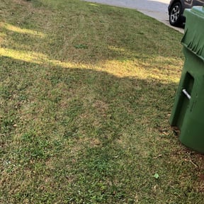 Leaf Removal by MVP Lawn &amp; Landscaping reviewed on September 6, 2025