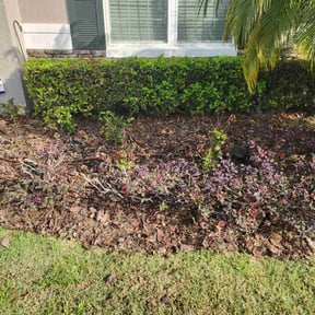Flower Bed Weeding by Fuse Outdoor Lighting and Landscape reviewed on August 17, 2025