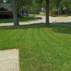 Bush Trimming by Larkin Lawn Care reviewed on December 7, 2025