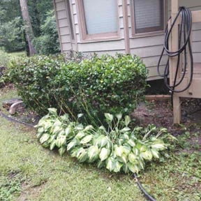 Bush Trimming by Garcia lawn care reviewed on March 13, 2024