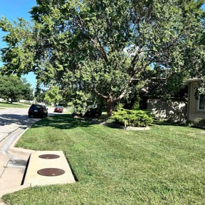 lawn maintenance by Discount Mowing reviewed on August 17, 2025