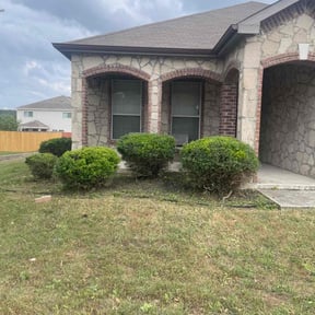 Bush Trimming by ACDServ LLC reviewed on August 21, 2025