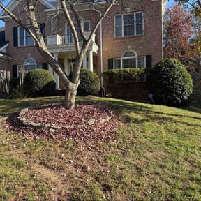 Bush Trimming by R&amp;T H Home Services LLC reviewed on November 18, 2025