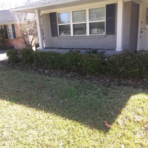 Bush Trimming by MG Exterior Home solutions reviewed on August 20, 2025