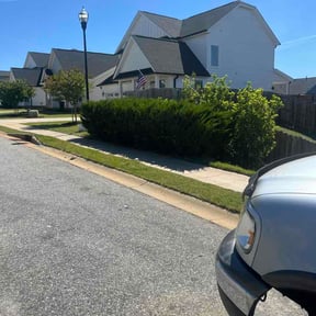 Bush Trimming by Hanson Lawn Care reviewed on May 16, 2026