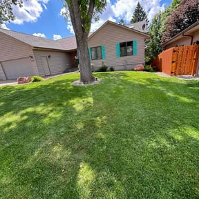 gardening service by Yards of Dreams reviewed on June 14, 2025