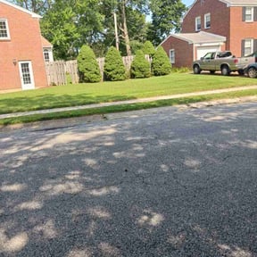 turf maintenance by Cohen Lawn & Landscaping reviewed on May 13, 2024