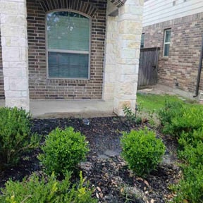 Flower Planting by SupaKlean Landscaping reviewed on May 7, 2025