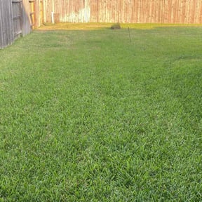 gardening service by Smackdown Lawns and Tractor Service reviewed on August 14, 2025