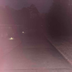 Leaf Removal by ATP Premier Lawn Care LLC reviewed on September 17, 2026