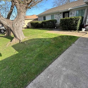 lawn maintenance by AlwaysTheBest LawnCare reviewed on July 1, 2025