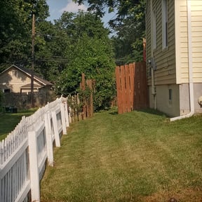 Bush Trimming by Grasman LLC reviewed on May 5, 2025